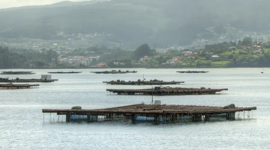 Lastres a medida para Bateas